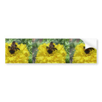 Tiny Bumble Bee Collecting Honey And Pollen From B Bumper Sticker