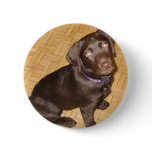 Tiny Chocolate Brown Labrador Puppy buttons