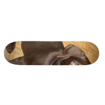 Tiny Chocolate Brown Labrador Puppy Custom Skate Board