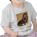 Tiny Chocolate Brown Labrador Puppy t-shirts