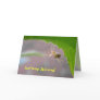 Tiny Desert Spider - Greeting Card #2