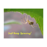 Tiny Desert Spider - Postcard #2
