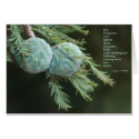 Tiny Footprints Poem Card