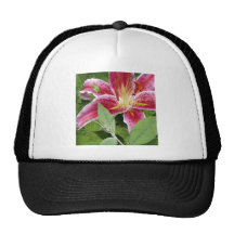 Tiny Green Frog on Stargazer Lily Mesh Hat