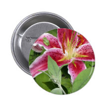 Tiny Green Frog on Stargazer Lily Pins