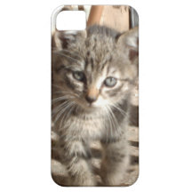 Tiny Kitten IPhone 5 case