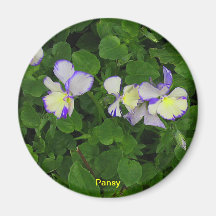 Tiny Pansy Gift Magnet