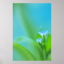 Tiny Perfection Print