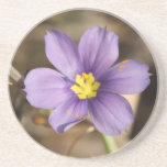 Tiny Purple Flower Coaster