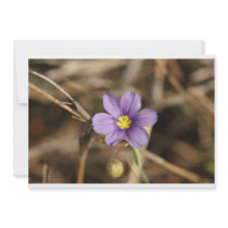 Tiny Purple Flower Invitations