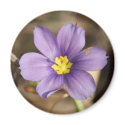Tiny Purple Flower Magnets