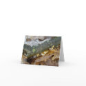 Tiny Shelf Fungus in Snow Note Card