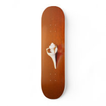 Tiny Shell Skate Board