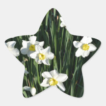 Tiny White Daffodils Stickers