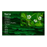 Tiny White Wildflower St. Patrick's Day Business Cards
