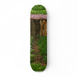 Tiny Wooden House With Mushrooms skateboards