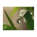 Tiny world postcards