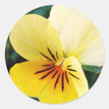 Tiny Yellow Flower Round Stickers