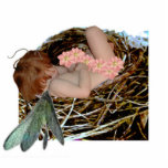 TinyFae Photo Cutout