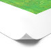 Corner