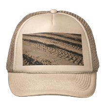 Tire tracks in dirt hat