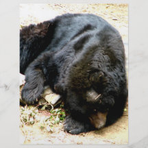 Tired Bear Personalized Flyer