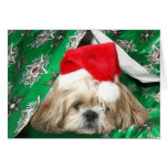 Tired Christmas Shih Tzu Greeting Cards
