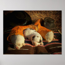 Tired Cowboy Puppies Posters