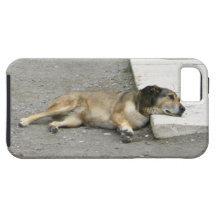 Tired Dog iPhone 5 case-mate