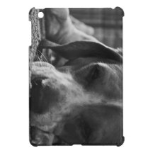 Tired Doggy iPad Mini Case