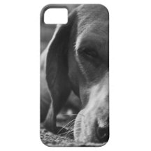 Tired Doggy iPhone 5 Covers