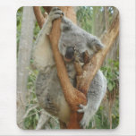Tired Koala mousepads