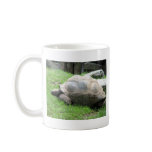 Tired Tortoise mugs