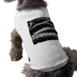 Tires pet clothing