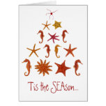 'Tis the SEAson Greeting Card
