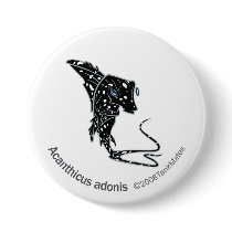 TM-09-Acanthicus adonis Pinback Buttons