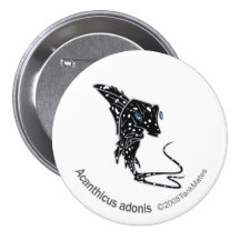 TM-09-Acanthicus adonis Pinback Buttons