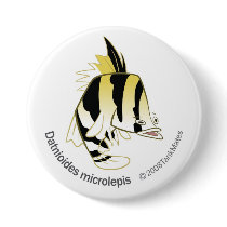 TM-12-Dathioides microlepis Buttons