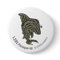 TM-13-L191 Panaque sp Pins