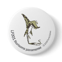 TM-14-LF001 Sturisoma panamense Button