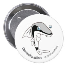 TM-15-Otacinclus affinis Pinback Button