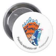 TM-16-Poecilia reticulata var Buttons