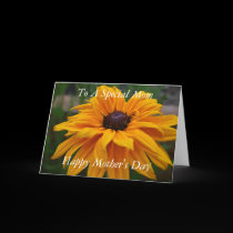 To A Special Mom, Happy Mother's Day cards