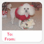 To and From Gift Tag Poodle Sticker