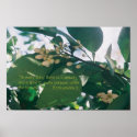 To every thing there is a season Scripture posters