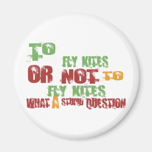 To Fly Kites Refrigerator Magnet