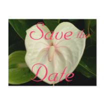 To Have and To Hold Save the Date