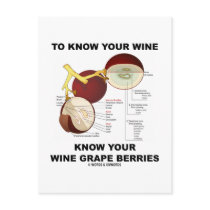 To Know Your Wine Know Your Wine Grape Berries
