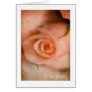 To My Love Rose Bud #2 Greeting Card