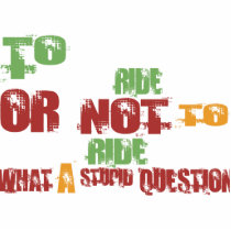 To Ride Photo Sculpture